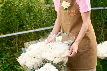 Similar image 21928292