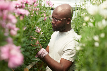 Similar image 21932257