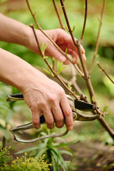 Similar image 21924679