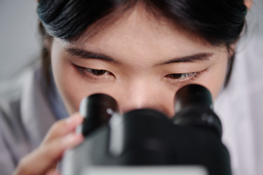 Similar image 21925404