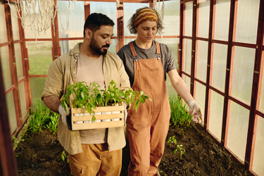 Similar image 21921268