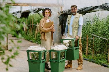 Similar image 21920060