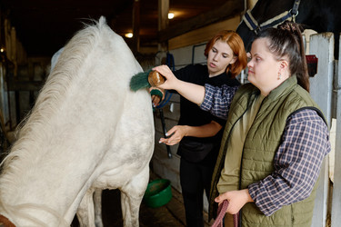 Similar image 21928296