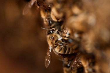 Similar image 21924301