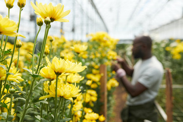 Similar image 21928474