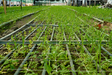 Similar image 21921259