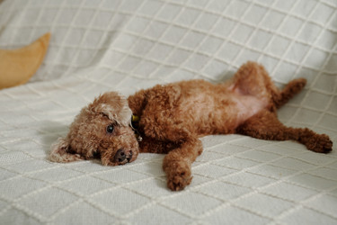 Similar image 21918653