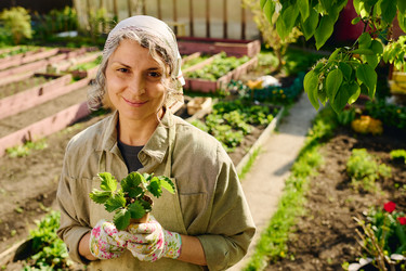 Similar image 21921261