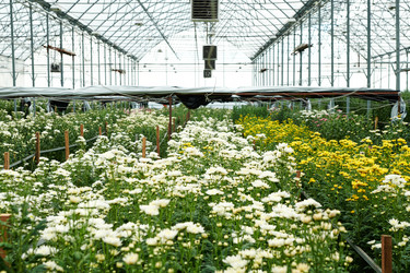 Similar image 21921415