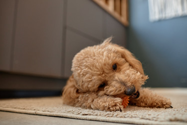 Similar image 21922817