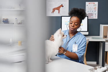 Similar image 21927843