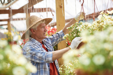 Similar image 21919467