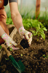 Similar image 21930790