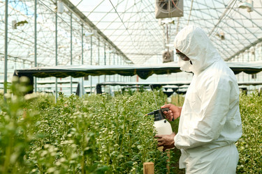 Similar image 21922253