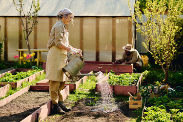 Similar image 21920995