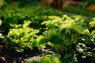 Similar image 21931050