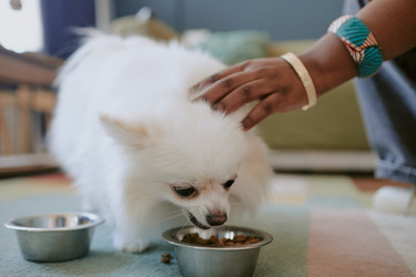 Similar image 21920163