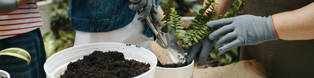 Similar image 21923337