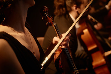 Similar image 21920610