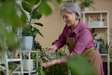 Similar image 21919926