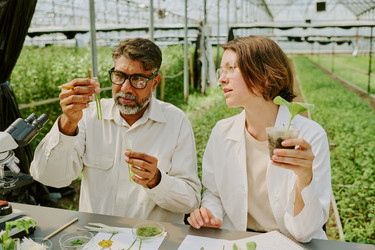 Similar image 21919338