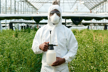 Similar image 21931834