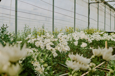 Similar image 21929826