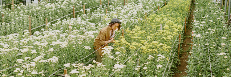 Similar image 21927273