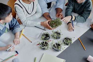 Similar image 21925527