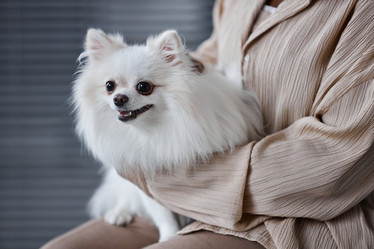 Similar image 21925228