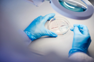 Similar image 21918602