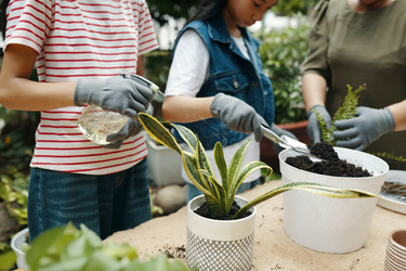 Similar image 21924416