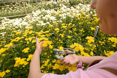 Similar image 21923526