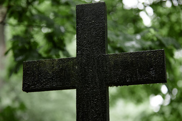 Similar image 21920713