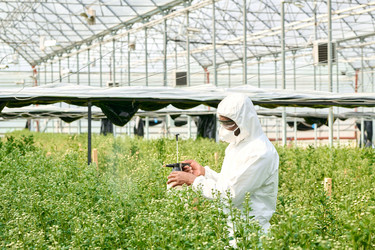 Similar image 21923846