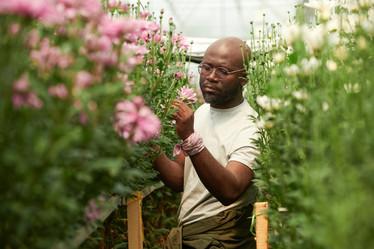 Similar image 21928322