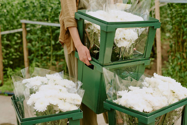 Similar image 21923373