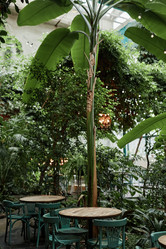 Similar image 21920838