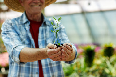 Similar image 21923745