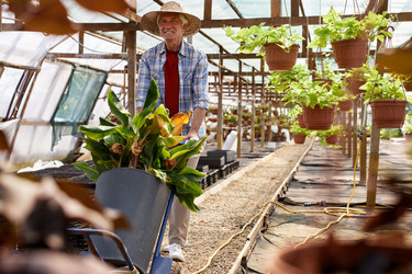 Similar image 21923845