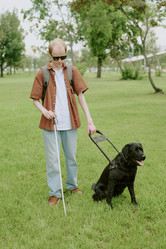 Similar image 21918980