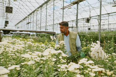 Similar image 21925551