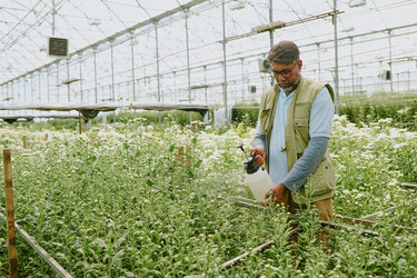 Similar image 21920265