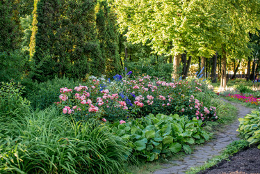 Similar image 21936580