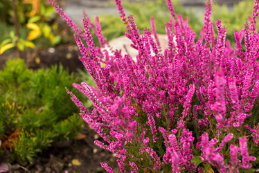 Similar image 21936581