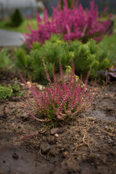 Similar image 21936600