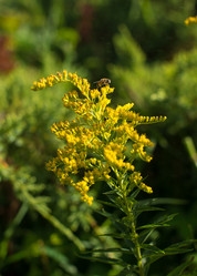 Similar image 21936584