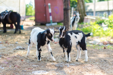 Similar image 21936602