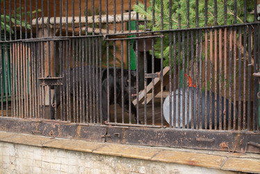 Similar image 21936587