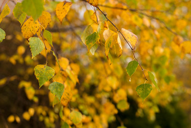 Similar image 21936604